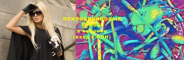 молекула духа Алексеевка