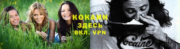 героин Алзамай