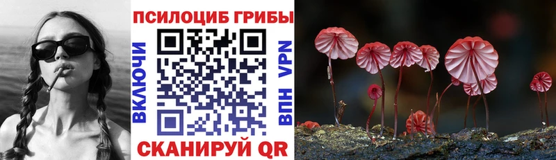 Псилоцибиновые грибы Cubensis  Ноябрьск 